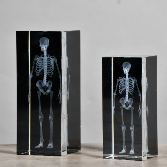 3D Human Skeleton Radiography