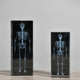 3D Human Skeleton Radiography