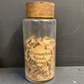 Chasmanthera palmata (Racine) / Colombo - Flacon de pharmacie / Herboristerie en verre soufflé - XIXème siècle