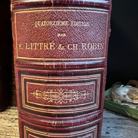 Grimoire book of 1768: L'Albert Moderne