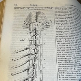 Grimoire book of 1768: L'Albert Moderne