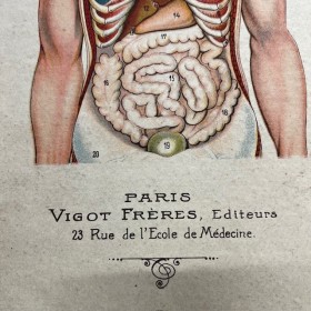 Grimoire book of 1768: L'Albert Moderne