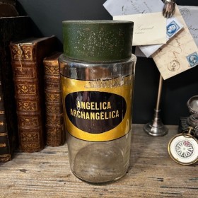 Angelica Archangelica -...