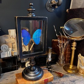 Reliquary box on wooden...