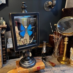 Reliquary box on wooden...