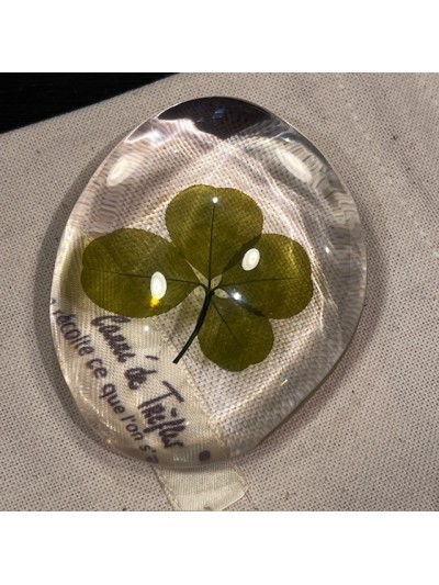 Four-leaf clover - 4-leaf...