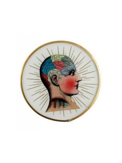 Phrenology Glass Coaster